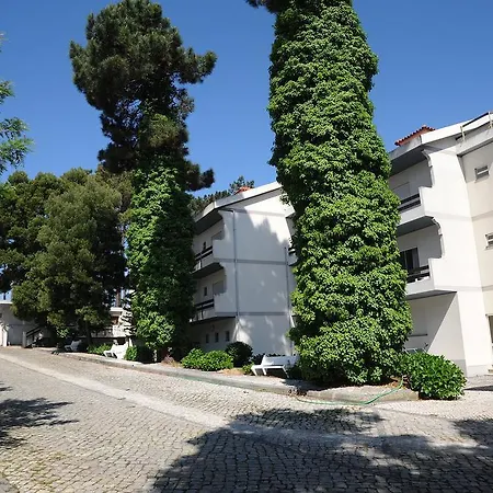 Colmeia Monte Real