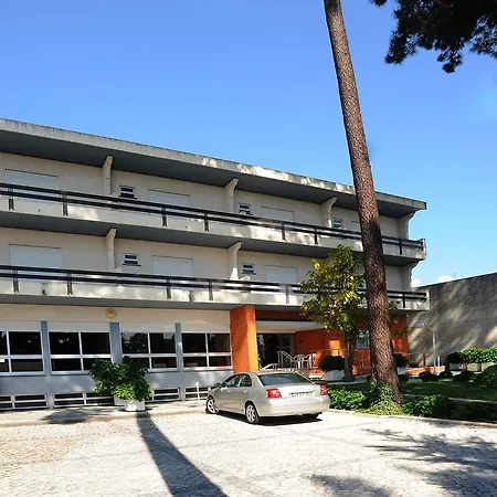 Colmeia Monte Real